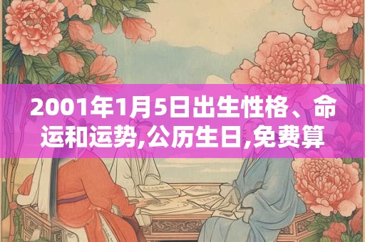 2001年1月5日出生性格、命运和运势,公历生日,免费算命