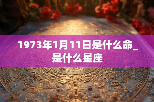 1973年1月11日是什么命_是什么星座 1973年1月11日是什么命_是什么星座