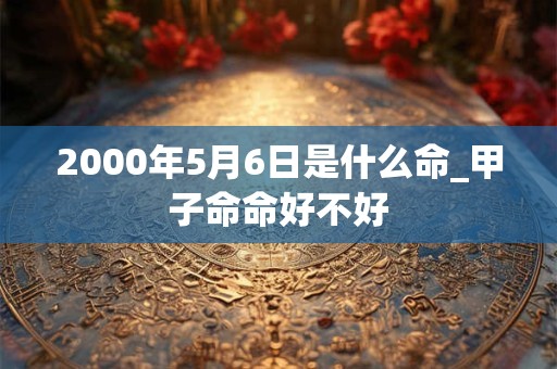 2000年5月6日是什么命_甲子命命好不好