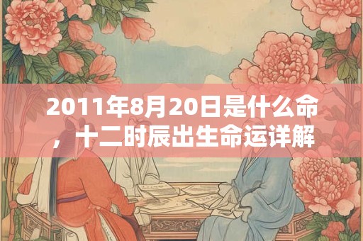 2011年8月20日是什么命，十二时辰出生命运详解