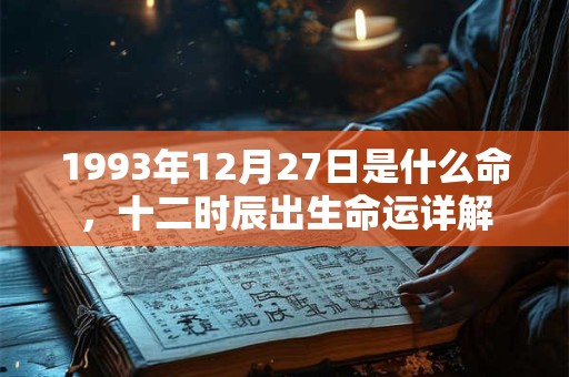1993年12月27日是什么命，十二时辰出生命运详解