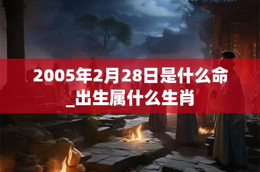 2005年2月28日是什么命_出生属什么生肖