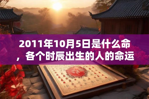 2011年10月5日是什么命，各个时辰出生的人的命运