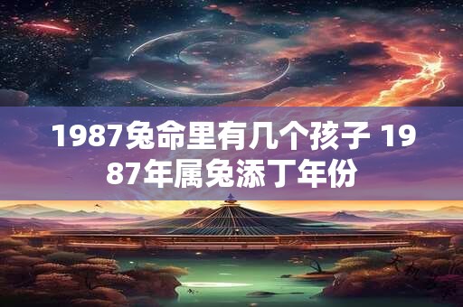 1987兔命里有几个孩子 1987年属兔添丁年份