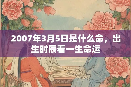 2007年3月5日是什么命,出生时辰看一生命运 2007年3月5日是什么命,出生时辰看一生命运