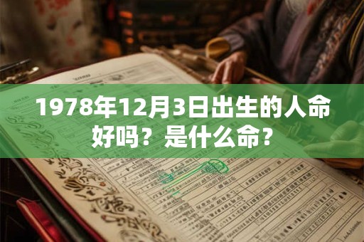 1978年12月3日出生的人命好吗？是什么命？