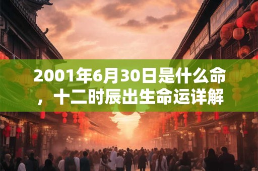 2001年6月30日是什么命，十二时辰出生命运详解