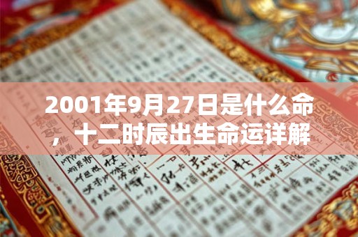 2001年9月27日是什么命，十二时辰出生命运详解