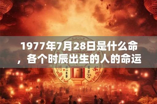 1977年7月28日是什么命,各个时辰出生的人的命运 1977年7月28日是什么命,各个时辰出生的人的命运