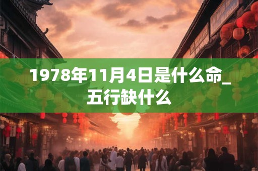 1978年11月4日是什么命_五行缺什么