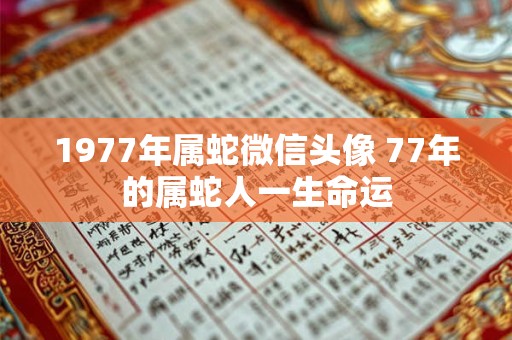 1977年属蛇微信头像 77年的属蛇人一生命运 1977年属蛇微信头像 77年的属蛇人一生命运
