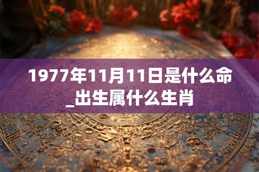 1977年11月11日是什么命_出生属什么生肖