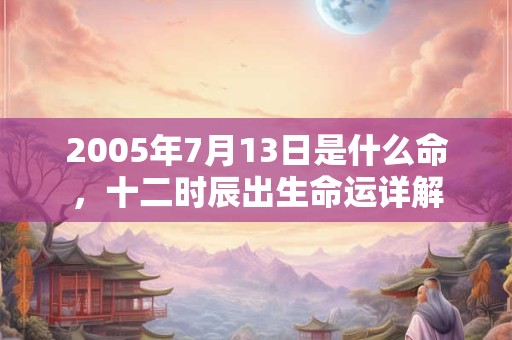 2005年7月13日是什么命，十二时辰出生命运详解