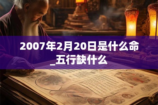 2007年2月20日是什么命_五行缺什么 2007年2月20日是什么命_五行缺什么