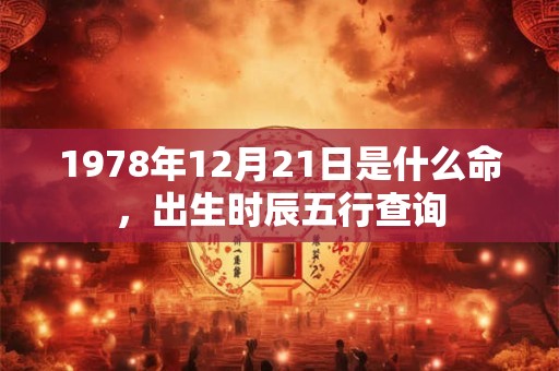 1978年12月21日是什么命，出生时辰五行查询