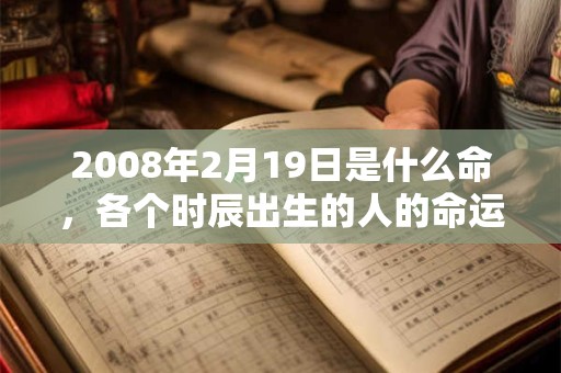 2008年2月19日是什么命，各个时辰出生的人的命运
