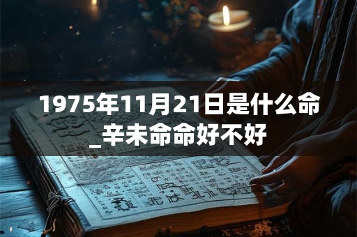 1975年11月21日是什么命_辛未命命好不好