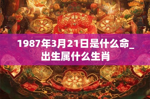 1987年3月21日是什么命_出生属什么生肖