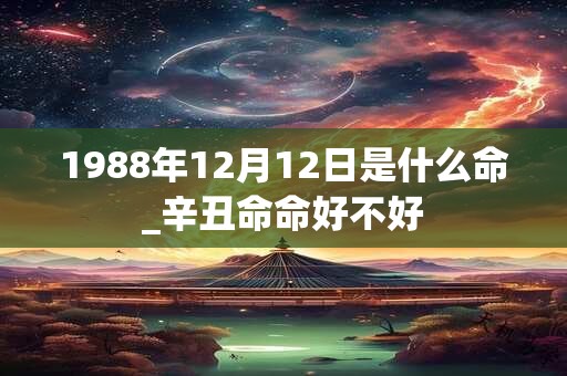 1988年12月12日是什么命_辛丑命命好不好
