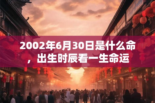 2002年6月30日是什么命，出生时辰看一生命运