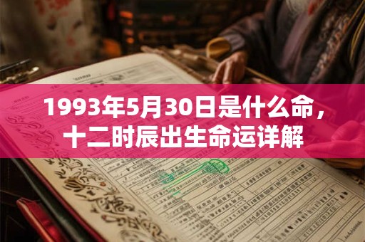 1993年5月30日是什么命，十二时辰出生命运详解