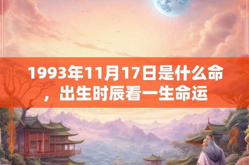 1993年11月17日是什么命,出生时辰看一生命运 1993年11月17日是什么命,出生时辰看一生命运