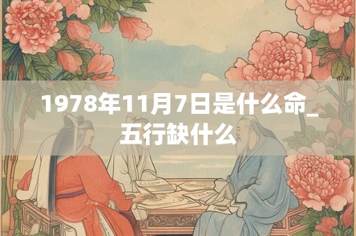 1978年11月7日是什么命_五行缺什么