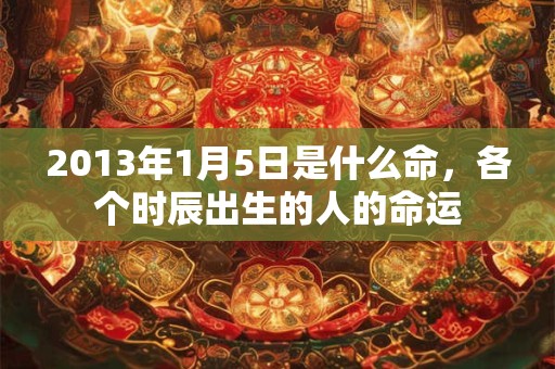 2013年1月5日是什么命，各个时辰出生的人的命运