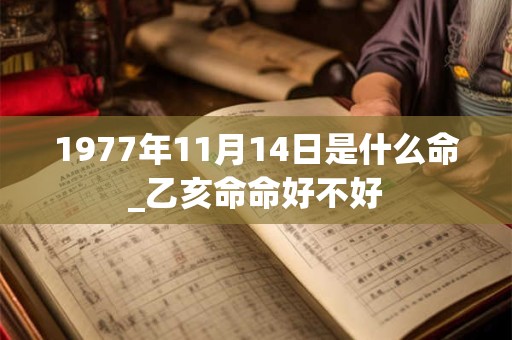1977年11月14日是什么命_乙亥命命好不好