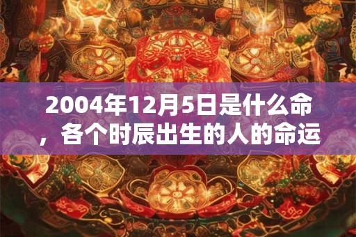 2004年12月5日是什么命，各个时辰出生的人的命运