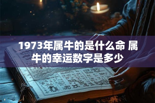 1973年属牛的是什么命 属牛的幸运数字是多少