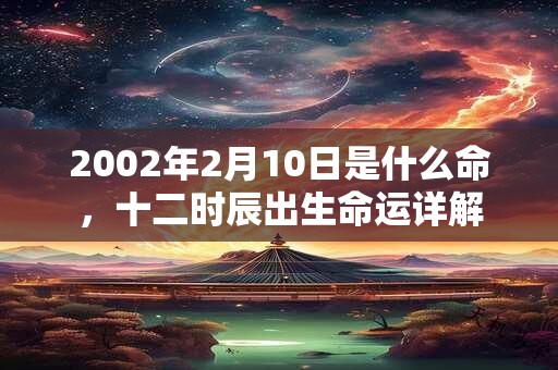 2002年2月10日是什么命,十二时辰出生命运详解 2002年2月10日是什么命,十二时辰出生命运详解