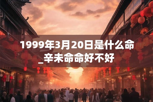1999年3月20日是什么命_辛未命命好不好 1999年3月20日是什么命_辛未命命好不好