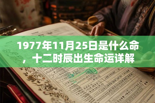 1977年11月25日是什么命,十二时辰出生命运详解 1977年11月25日是什么命,十二时辰出生命运详解
