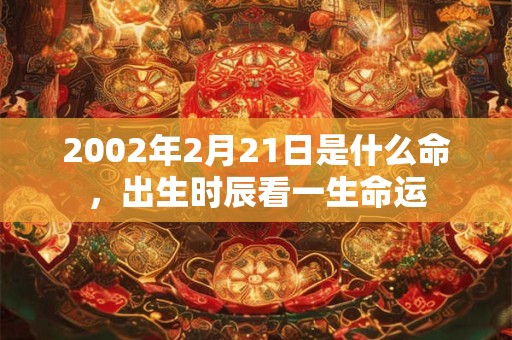 2002年2月21日是什么命，出生时辰看一生命运