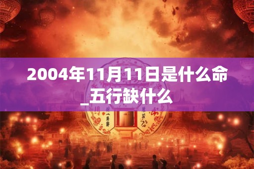 2004年11月11日是什么命_五行缺什么
