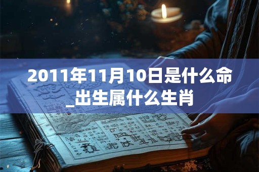 2011年11月10日是什么命_出生属什么生肖
