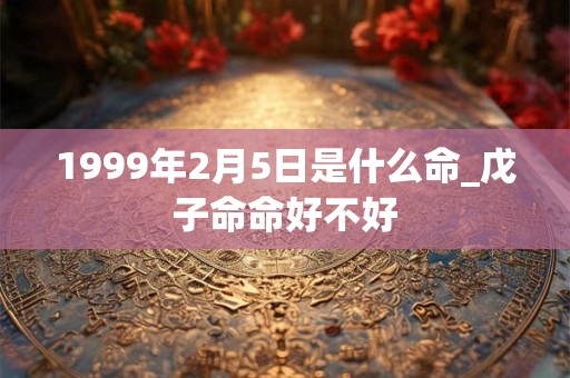 1999年2月5日是什么命_戊子命命好不好