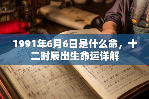 1991年6月6日是什么命，十二时辰出生命运详解