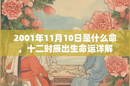 2001年11月10日是什么命，十二时辰出生命运详解