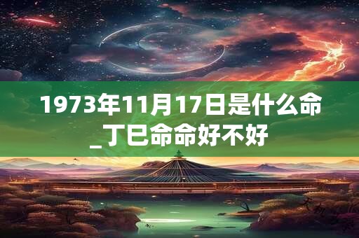 1973年11月17日是什么命_丁巳命命好不好