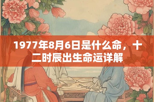 1977年8月6日是什么命，十二时辰出生命运详解