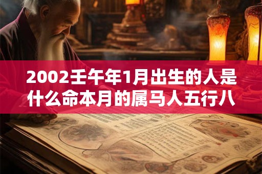 2002壬午年1月出生的人是什么命本月的属马人五行八字查询
