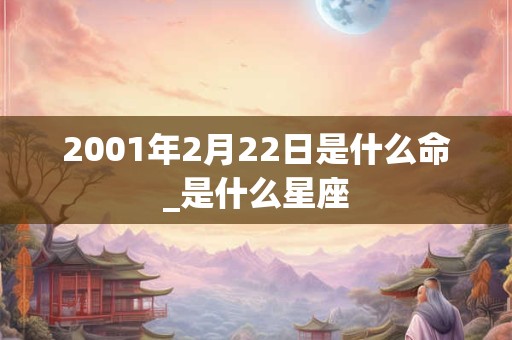 2001年2月22日是什么命_是什么星座