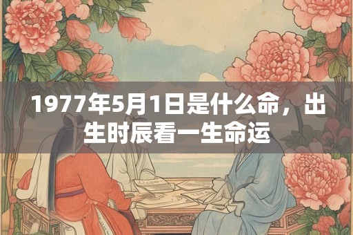 1977年5月1日是什么命，出生时辰看一生命运