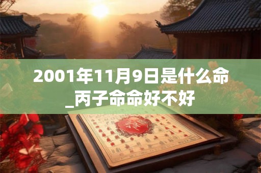 2001年11月9日是什么命_丙子命命好不好