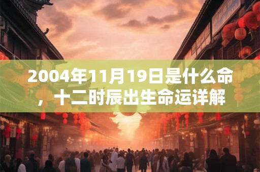2004年11月19日是什么命,十二时辰出生命运详解 2004年11月19日是什么命,十二时辰出生命运详解