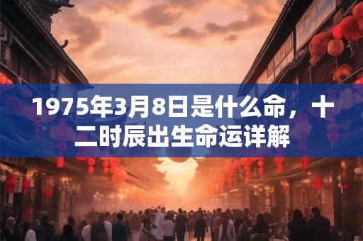 1975年3月8日是什么命，十二时辰出生命运详解