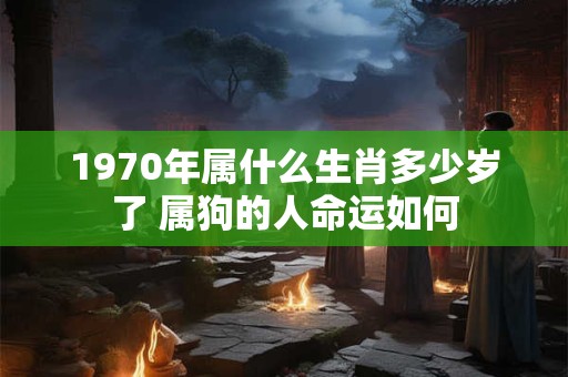 1970年属什么生肖多少岁了 属狗的人命运如何