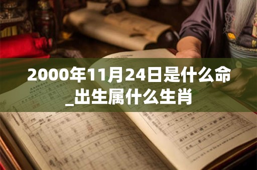 2000年11月24日是什么命_出生属什么生肖